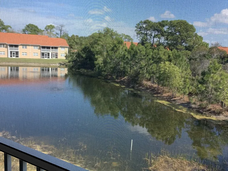 26630 Rosewood Pointe Dr #306 — Photo 51