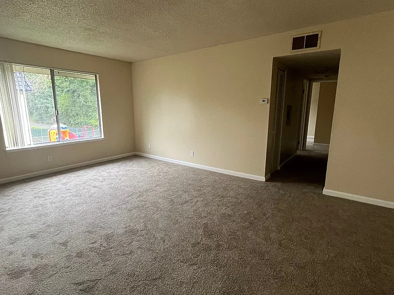 1424 Alamo Dr — Photo 19