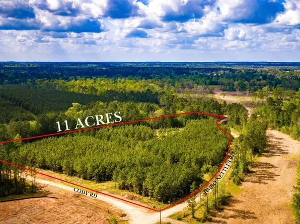 0 Jimbo Nettles Rd, Livingston, TX 77351