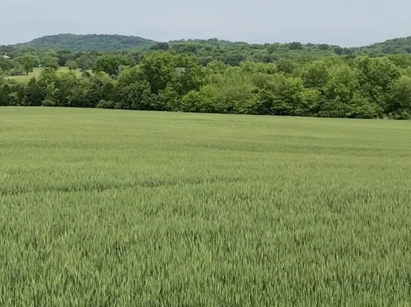 1473 Lauderdale Ln Lot 3, Bethpage, TN 37022