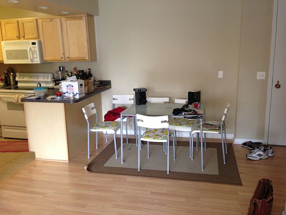 3rd image of 151 N Michigan Ave APT 3619
