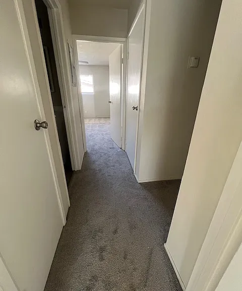 Kona Kai Apartments — Photo 9