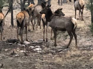 4826 Sunset Ridge Loop, Happy Jack, AZ 86024