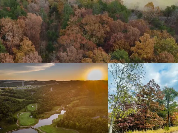 Lot 15 Shinnecock Hills Drive, Branson, MO 65616