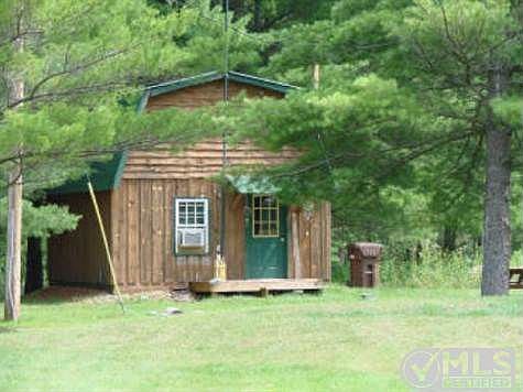 Cabin nestled among the pines