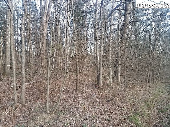 4th image of TBD Millers Gap Highway