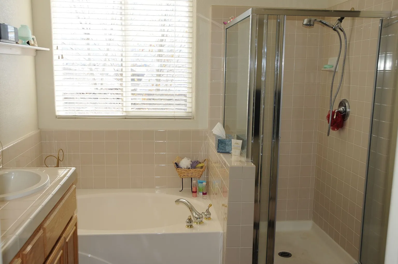 1730 Eagle Dancer Ln photo 1