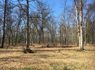 22254 Oak Dr, Wellston, MI 49689