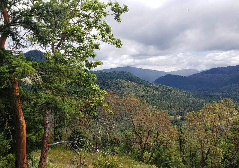 250 Leland Rd, Wolf Creek, OR 97497 MLS 220149053 Zillow