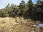1st image of 1101 N Rose Quartz Dr