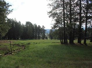 Martin Luther King Jr Blvd, Angel Fire, NM 87710