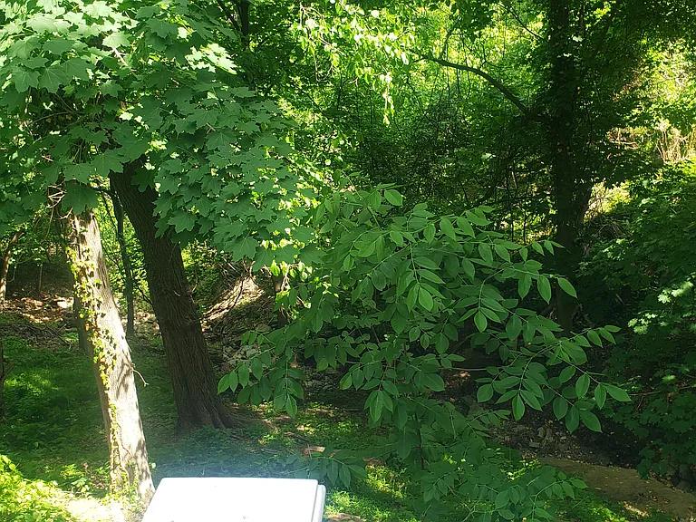 View from front balcony.