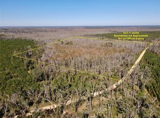 0 SW Sampala Lake Rd, Madison, FL 32340