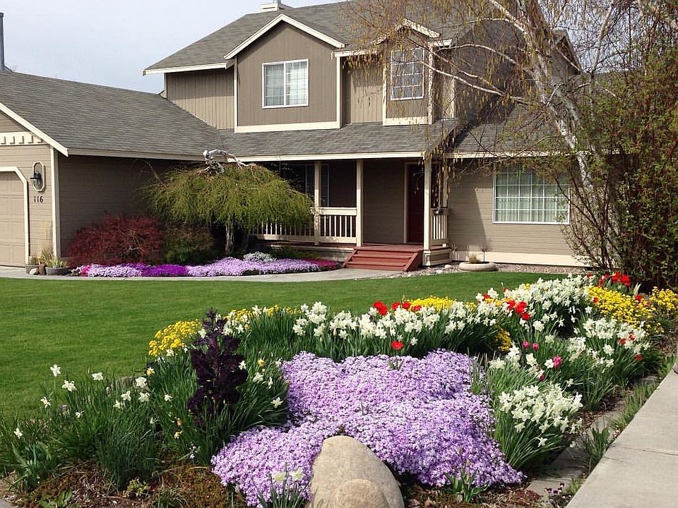 Spring time annual flowers