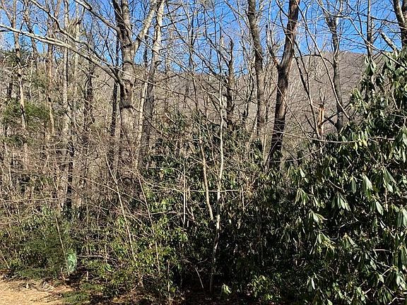 2nd image of 4 Honeysuckle Ct