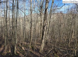 Lot 22 Bluff Canyon Drive, West Jefferson, NC 28684