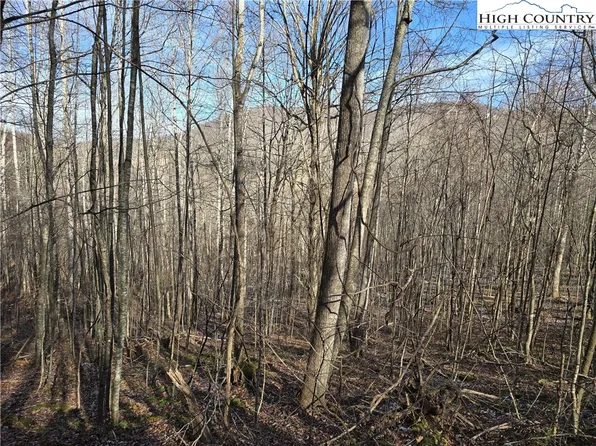 Lot 22 Bluff Canyon Drive, West Jefferson, NC 28684