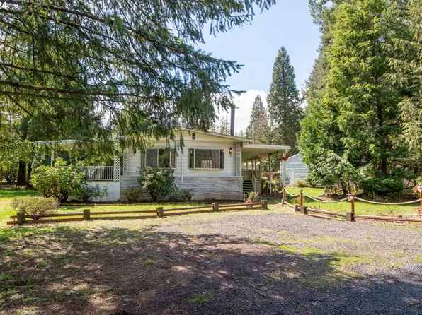 91542 Dearborn Island Rd, Blue River, OR 97413