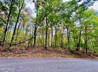 Park Rd, Coal Township, PA 17866