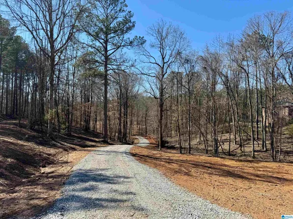 0 County Road 61 #5, Roanoke, AL 36274