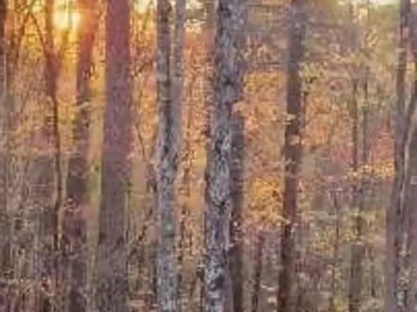 Trellis Dr #117, Nebo, NC 28761