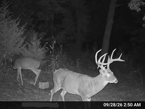 3rd image of 18133 Cincinnati Rd