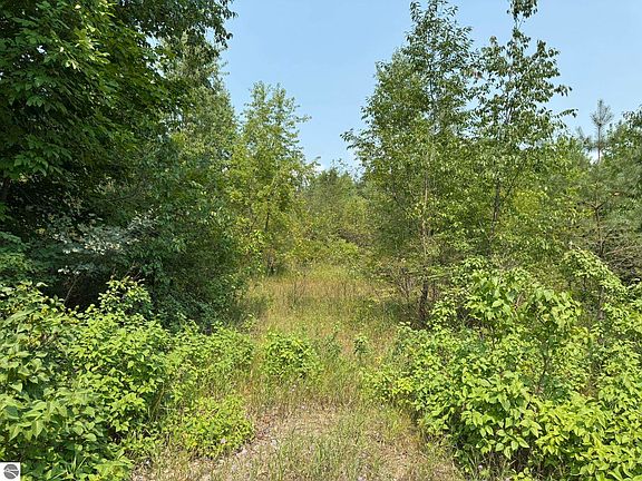 3rd image of 8558 Homestead Rd