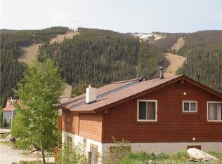 17 W Hanson Rd, Keystone, CO 80435