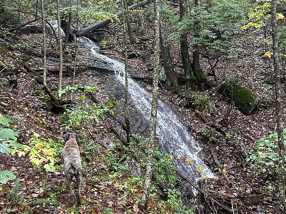 2nd image of 1298 Cold Stream Trl