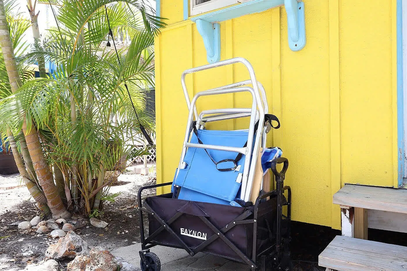 2 bed, 500 sqft, $13,895 — Photo 4