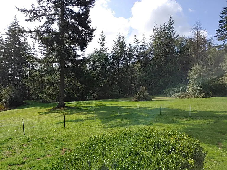 925 Classic Rd — Photo 27