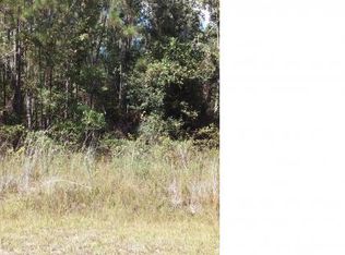 10405 W Deep Creek Blvd, Hastings, FL 32145