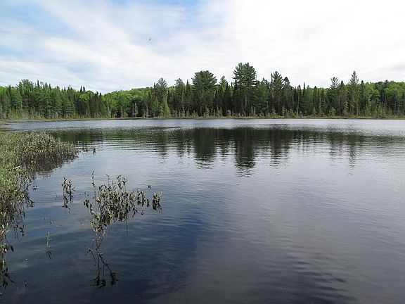 5th image of 14594 County Road 407