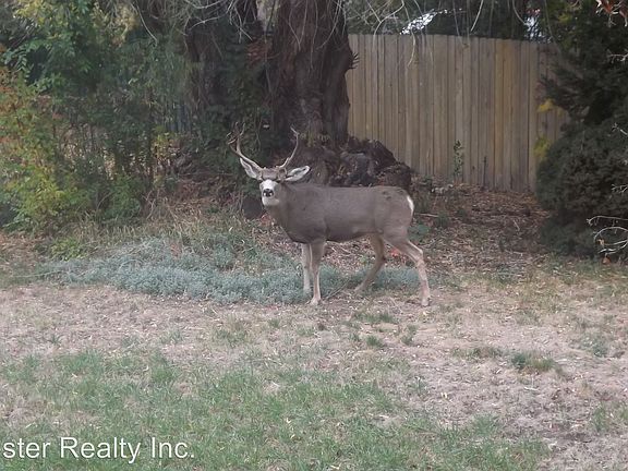 4th image of 4033 Frieda Ave