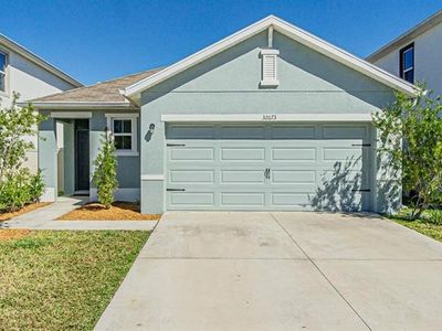 32673 Pez Landing Ln, Wesley Chapel, FL, 33543