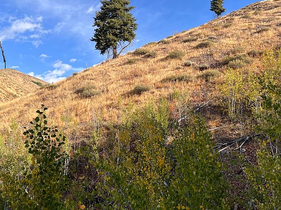 23rd image of 270 Greenhorn Gulch Rd