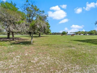 Winterwillow Ln Lot 7300, Eustis, FL, 32736