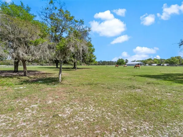 Winterwillow Ln Lot 7300, Eustis, FL 32736