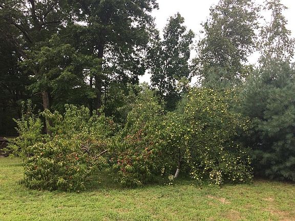 3rd image of 16 Durkee Ln