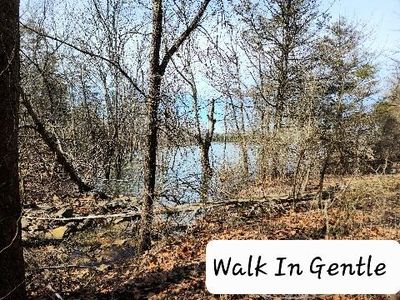 Block A- 6 Judy Gail Lane, Lampe, MO, 65681
