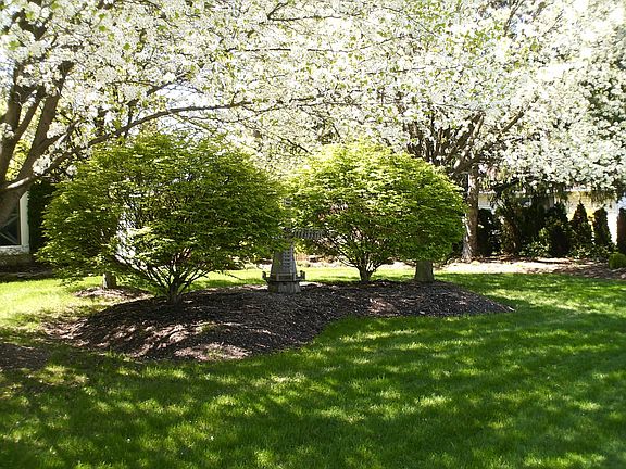 Side Yard