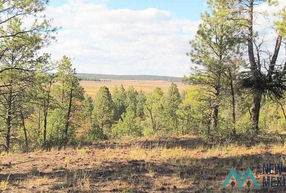 1st image of Forest Rd #157