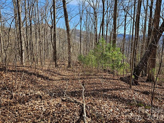 2nd image of 262 Si Knob Rd