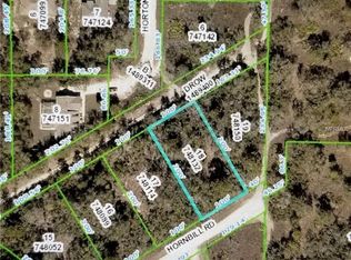 Hornbill Rd, Weeki wachee, FL 34614