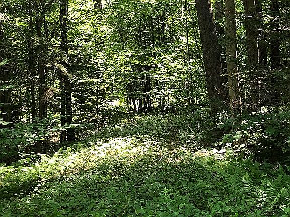 Drive way