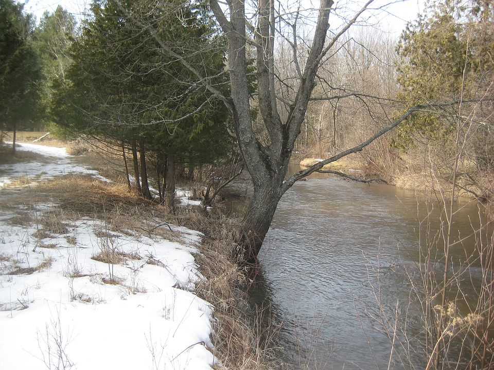 1st image of Buckhorn Trail