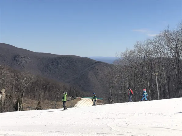 107 Eagles Ct, Wintergreen Resort, VA 22967