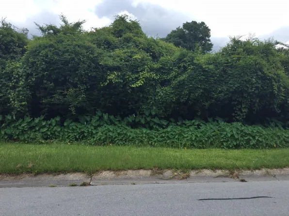 Lot 15 Wardola Drive, Jacksonville, NC 28540