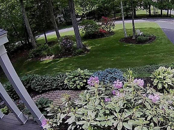 Beautiful Front Yard