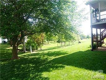 One side of yard showing the many trees.